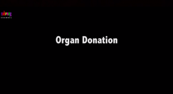 Screenshot 2019-04-22 at 12.56.28 PM